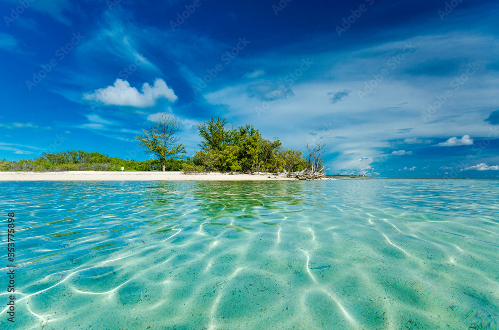 Clear shallow water and beach in Bimini